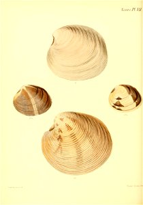 n341_w1150