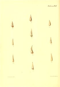 n429_w1150