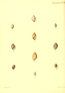 n299_w1150