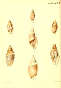 n167_w1150