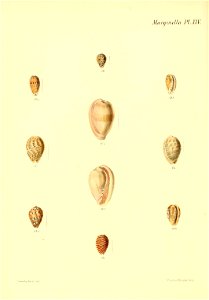 n103_w1150