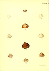 n461_w1150
