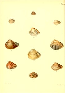 n397_w1150