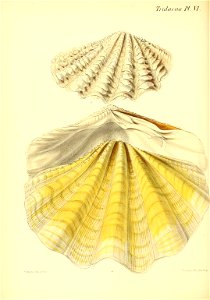 n265_w1150