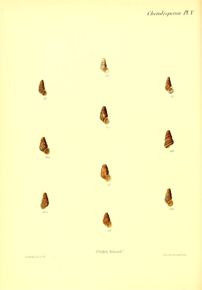 n197_w1150