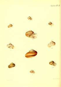 n129_w1150