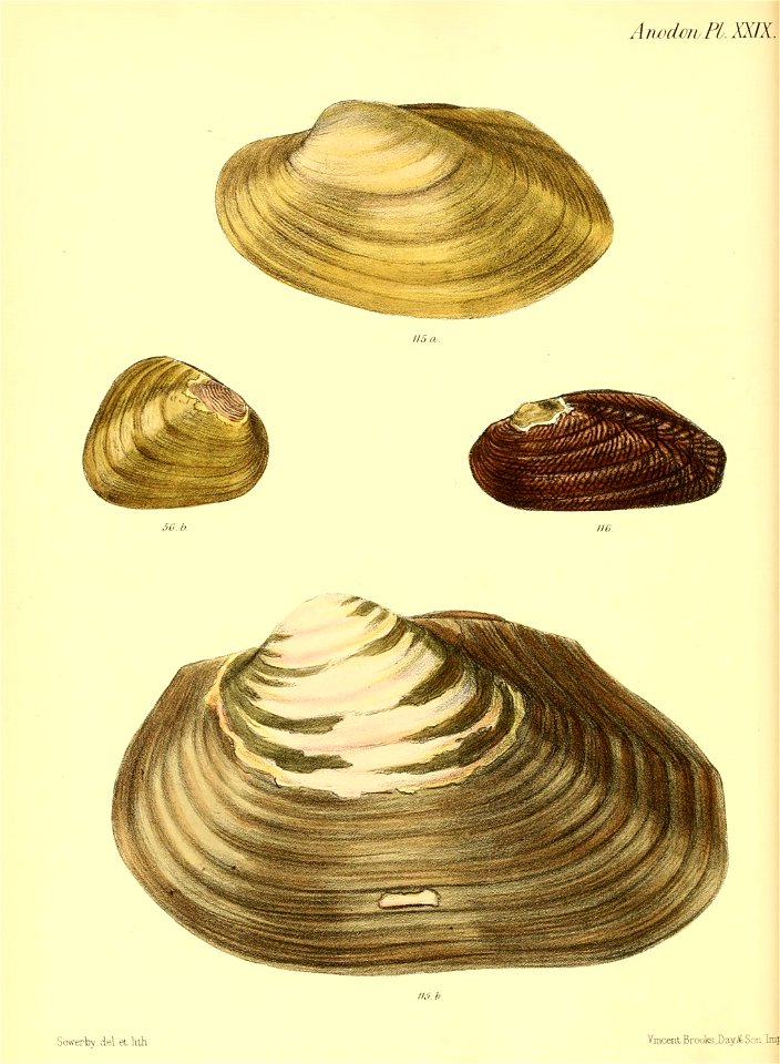 n123_w1150