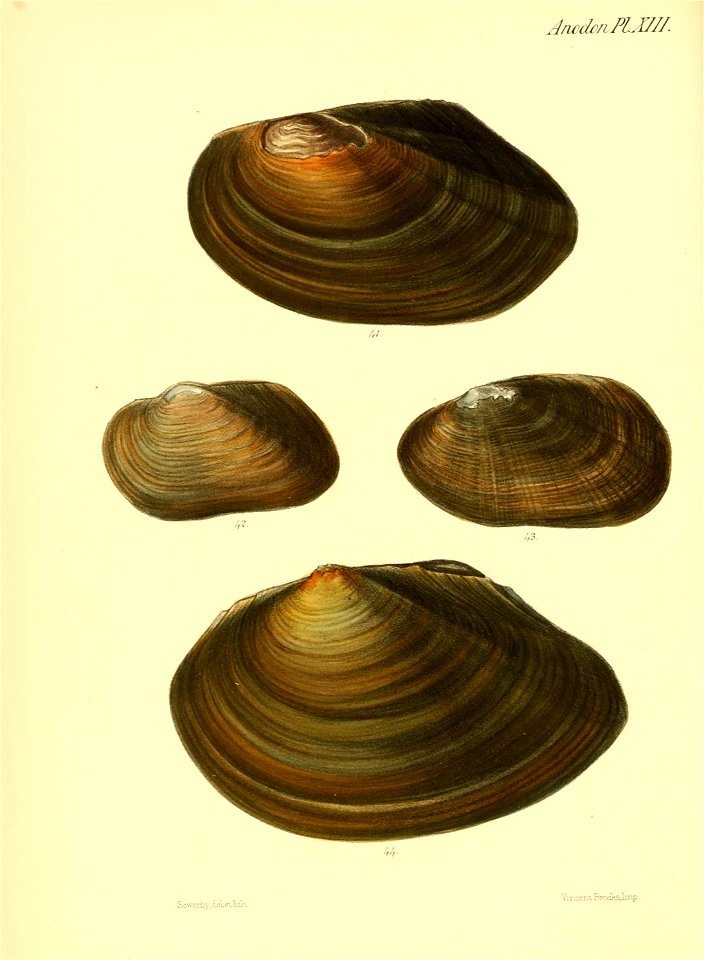 n59_w1150