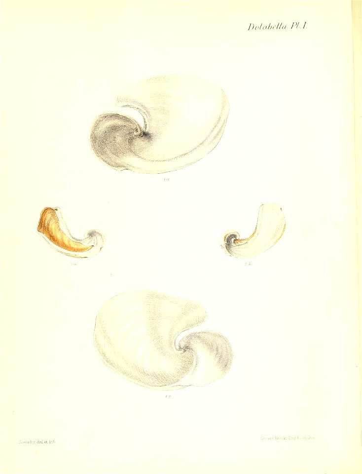 n541_w1150