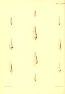 n425_w1150