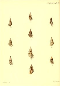n361_w1150