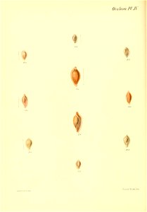 n227_w1150