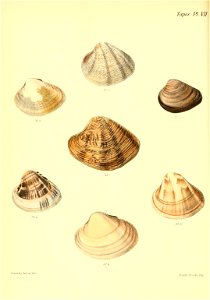 n589_w1150