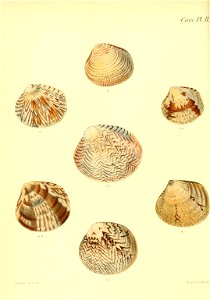 n525_w1150