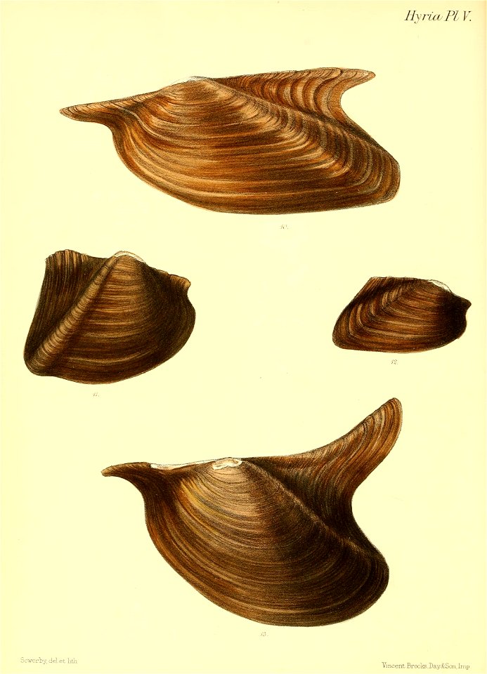 n443_w1150