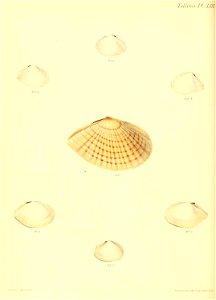 n371_w1150