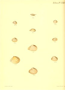 n251_w1150