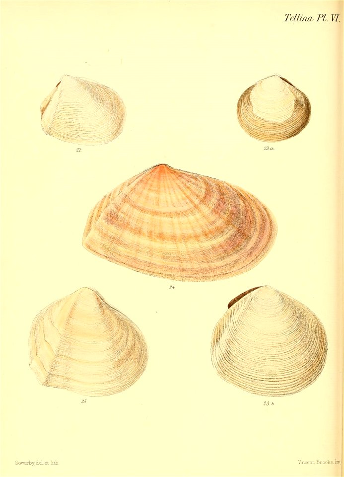 n183_w1150