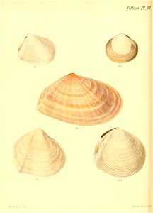 n183_w1150
