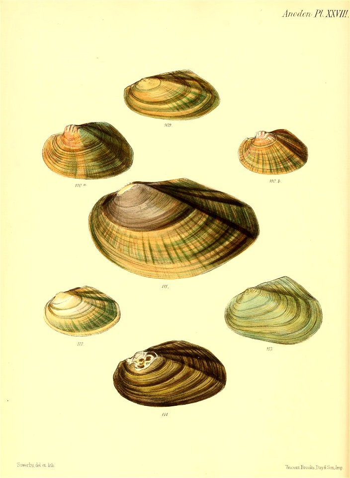 n119_w1150