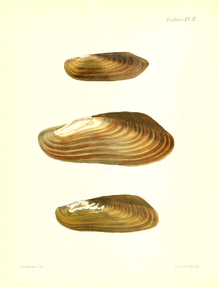 n463_w1150