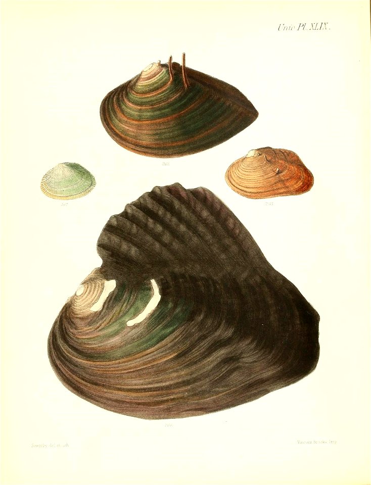 n203_w1150