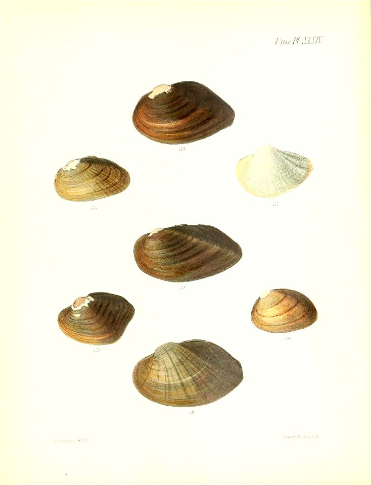 n143_w1150