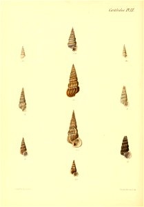 n491_w1150