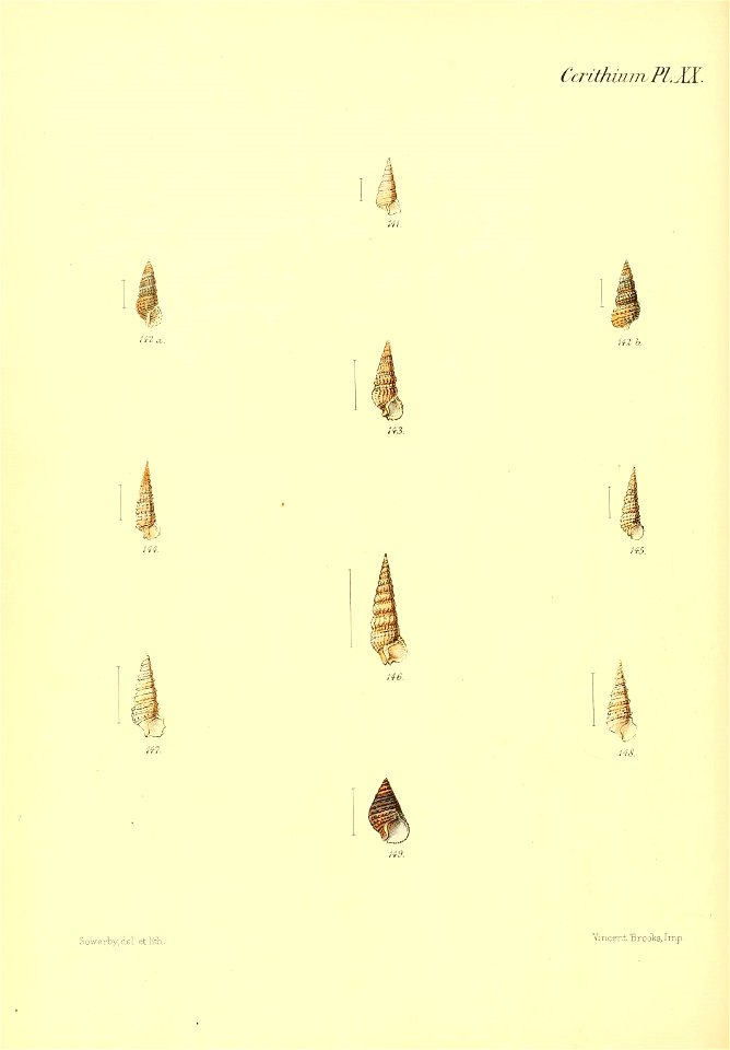 n417_w1150