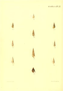 n417_w1150