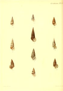 n357_w1150