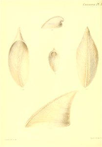 n289_w1150