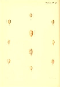 n223_w1150
