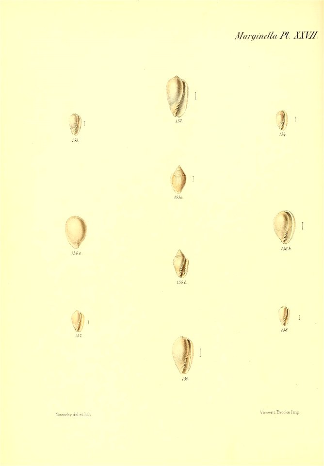 n155_w1150