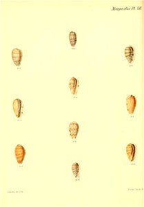 n95_w1150