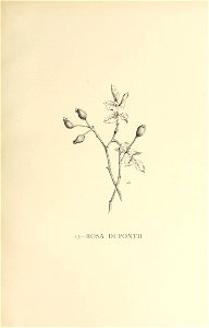 n88_w1150