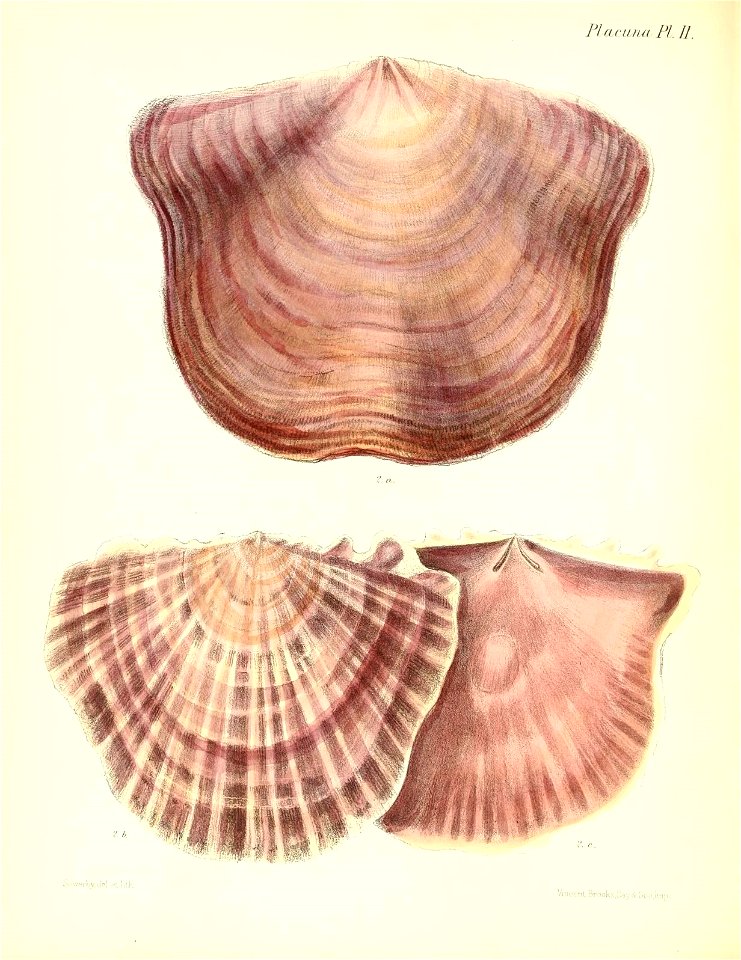 n325_w1150