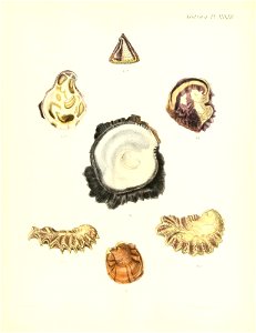 n185_w1150