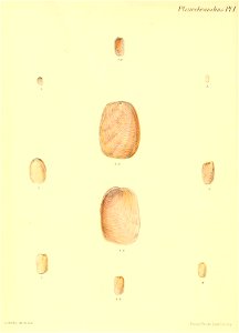 n511_w1150