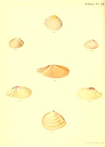 n367_w1150