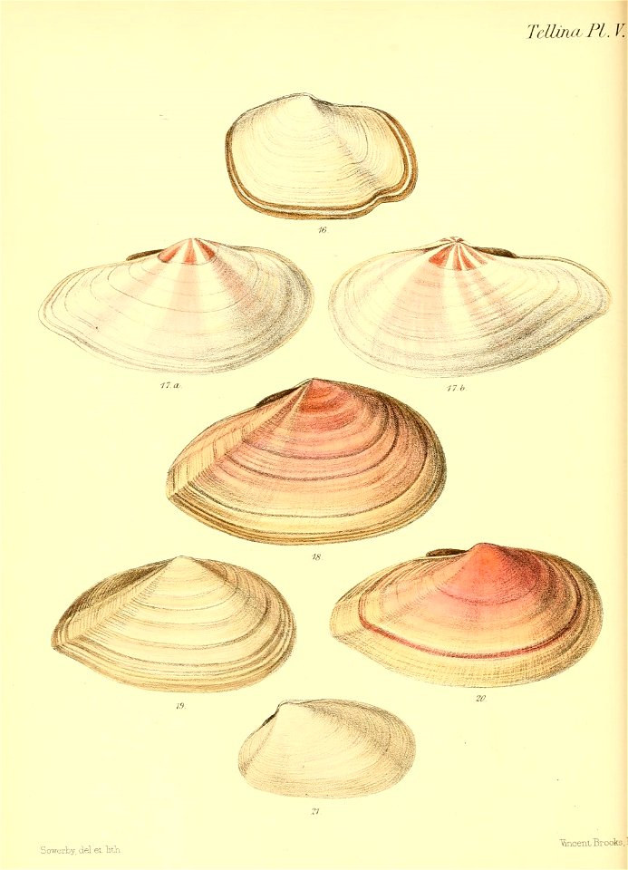 n179_w1150