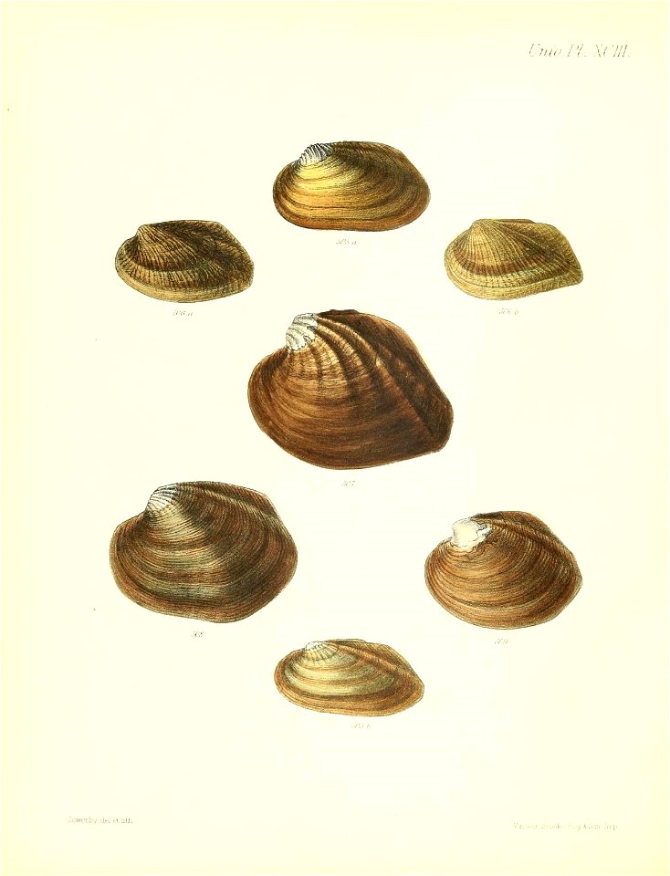 n379_w1150