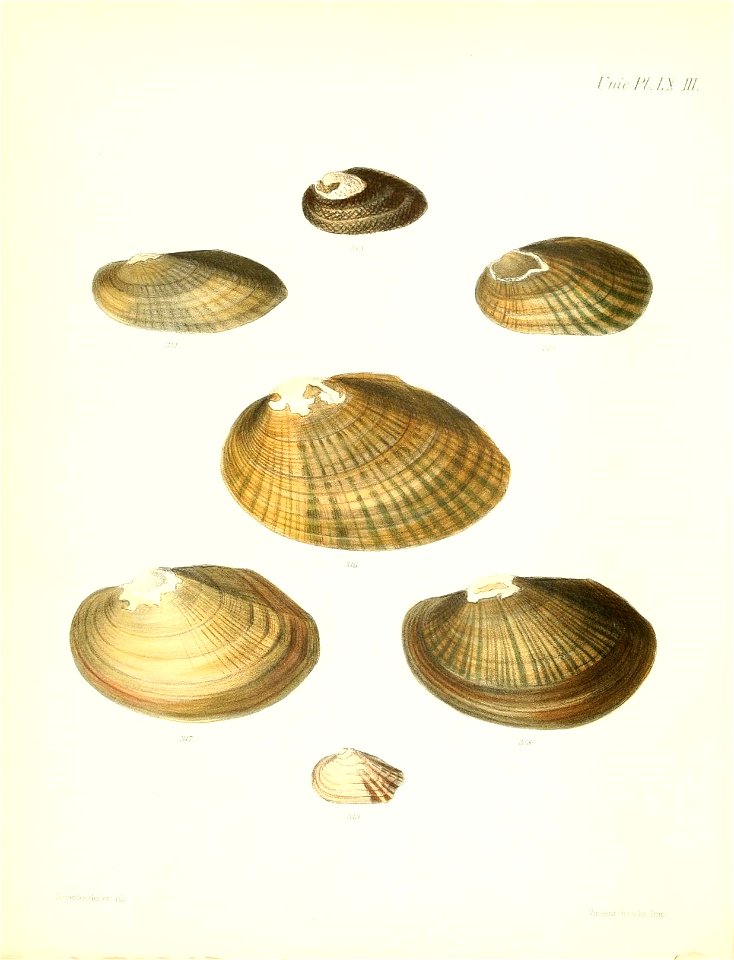 n259_w1150
