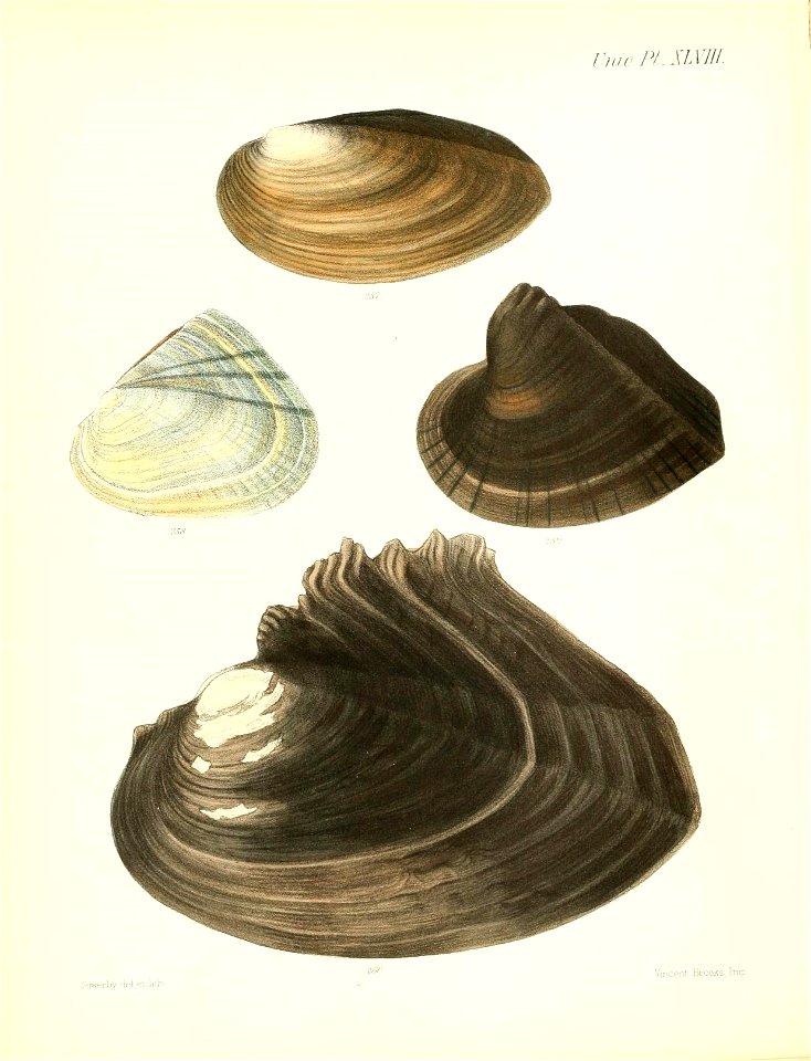 n199_w1150