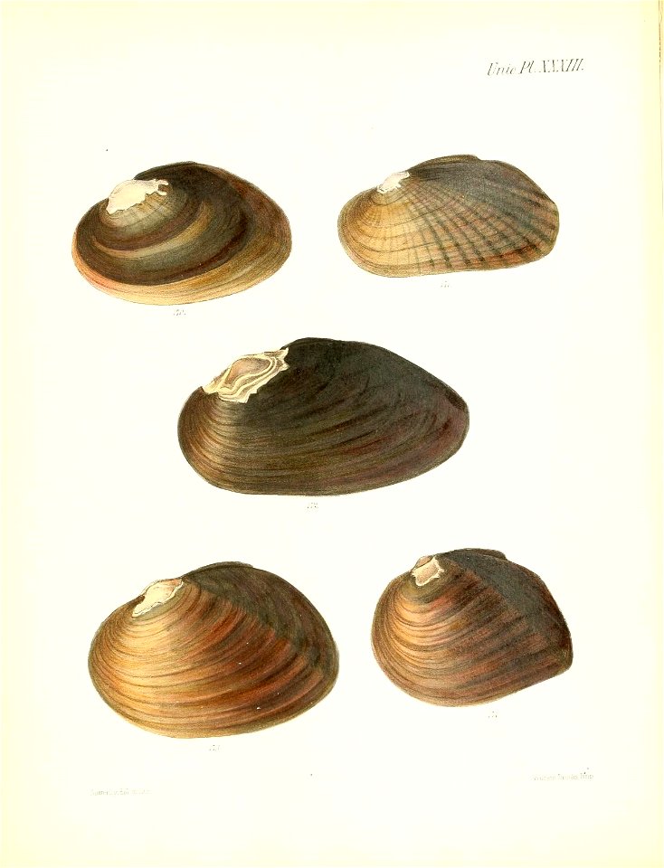 n139_w1150