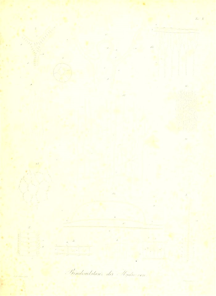 n220_w1150