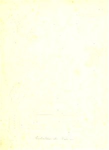 n220_w1150