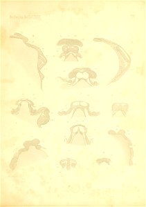 n110_w1150