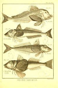 n402_w1150