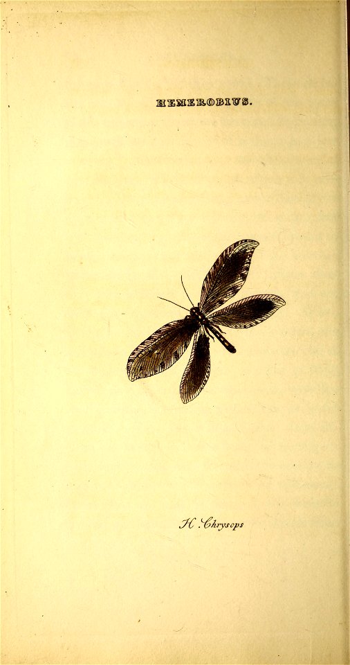 n49_w1150